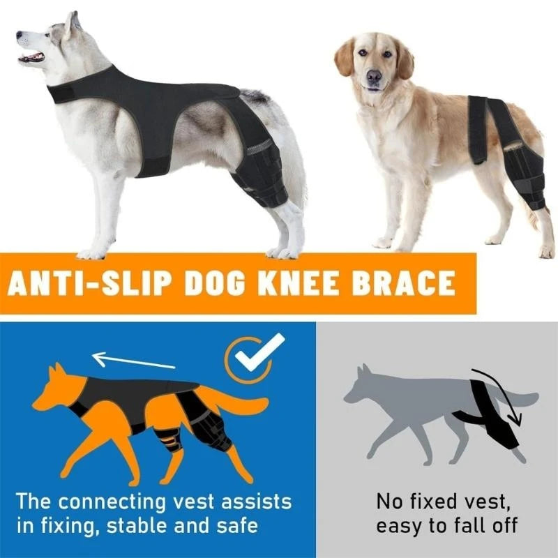 NoSlip Metal Dog Knee Brace for ACL CCL