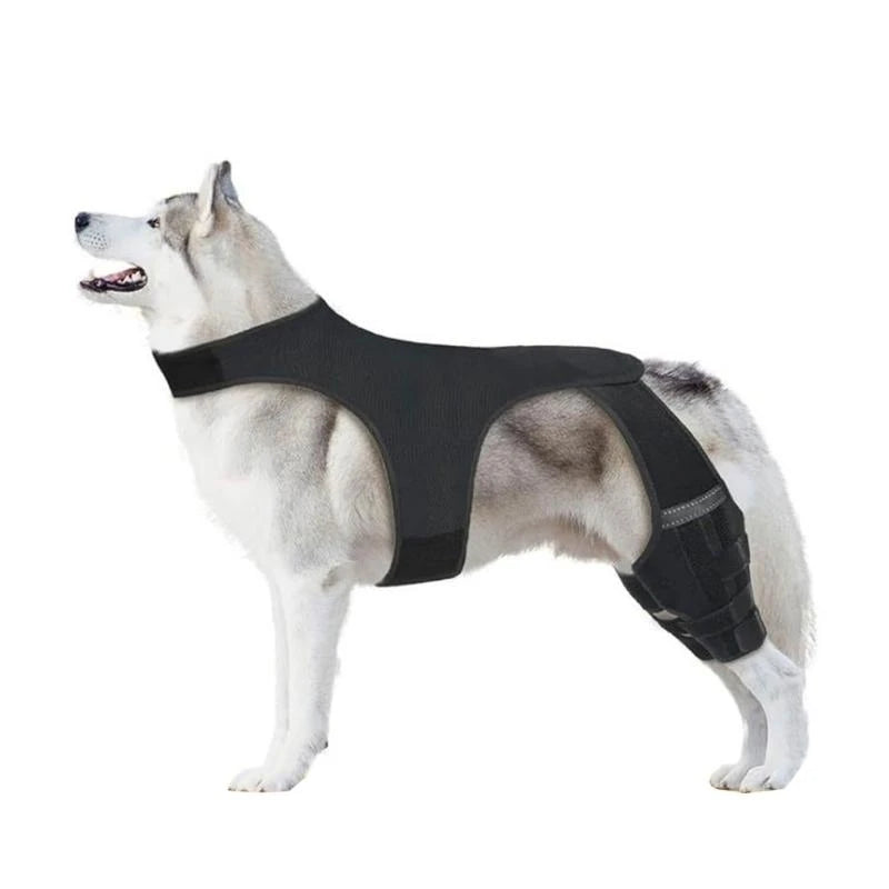 NoSlip Metal Dog Knee Brace for ACL CCL