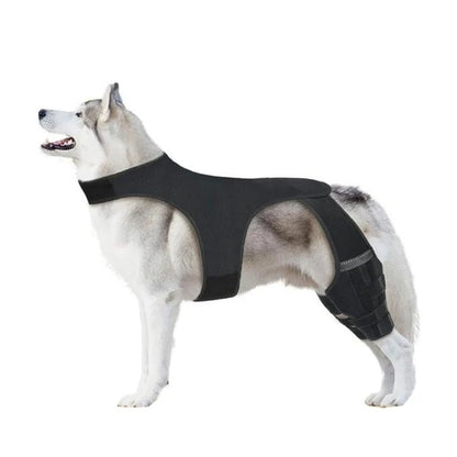NoSlip Metal Dog Knee Brace for ACL CCL
