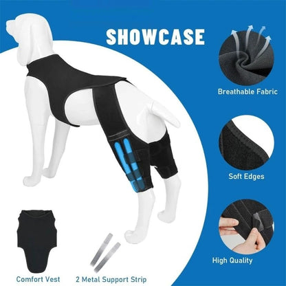 NoSlip Metal Dog Knee Brace for ACL CCL