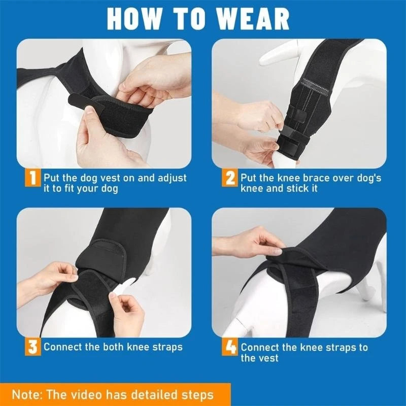 NoSlip Metal Dog Knee Brace for ACL CCL