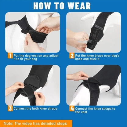 NoSlip Metal Dog Knee Brace for ACL CCL