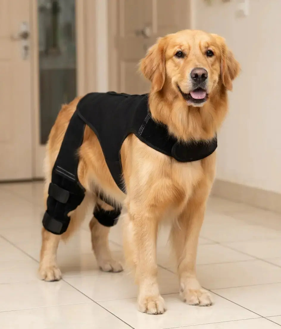 ChillFork™ Double Dog Knee Brace