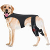 NoSlip Metal Dog Knee Brace for ACL CCL