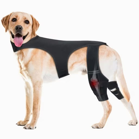 NoSlip Metal Dog Knee Brace for ACL CCL