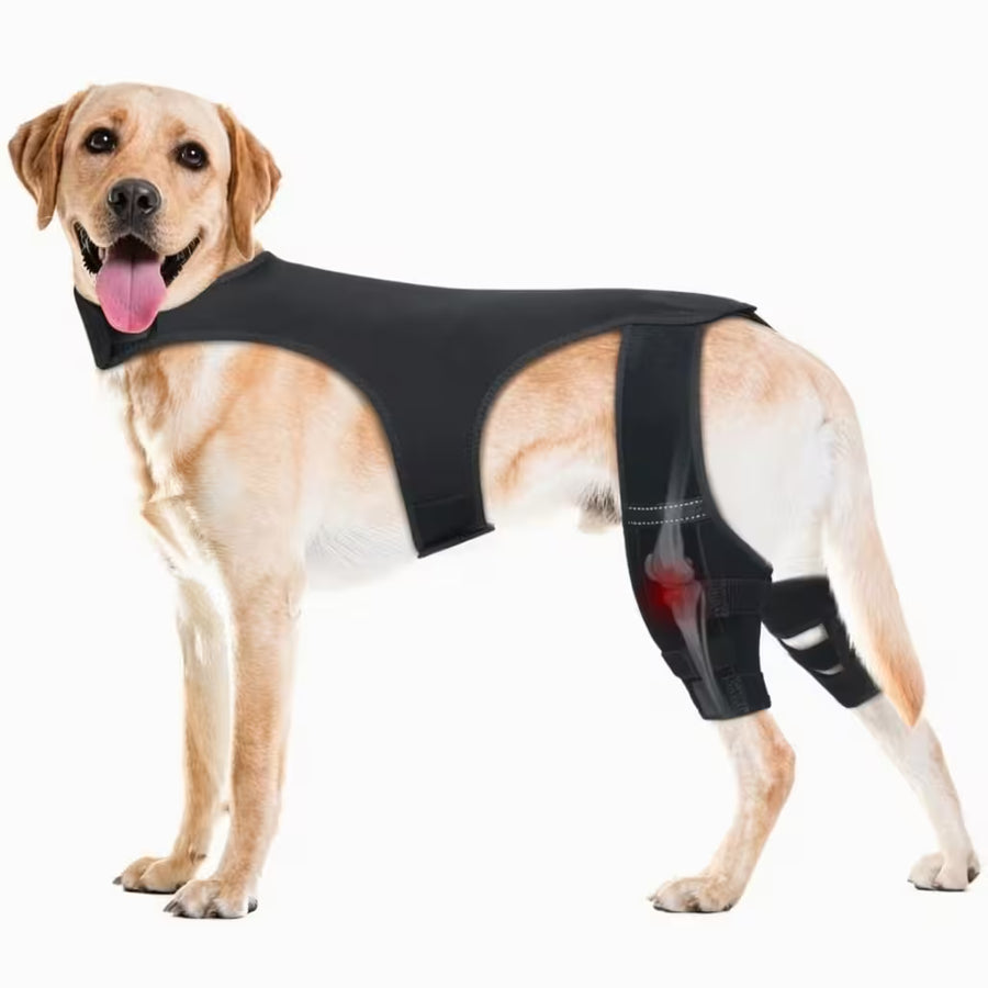 NoSlip Metal Dog Knee Brace