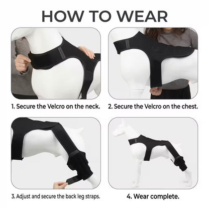 ChillFork™ Double Dog Knee Brace