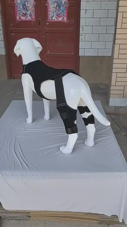 NoSlip Metal Dog Knee Brace for ACL CCL