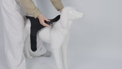 NoSlip Metal Dog Knee Brace for ACL CCL