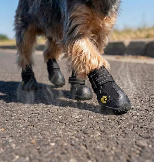 Hot Pavement Protection